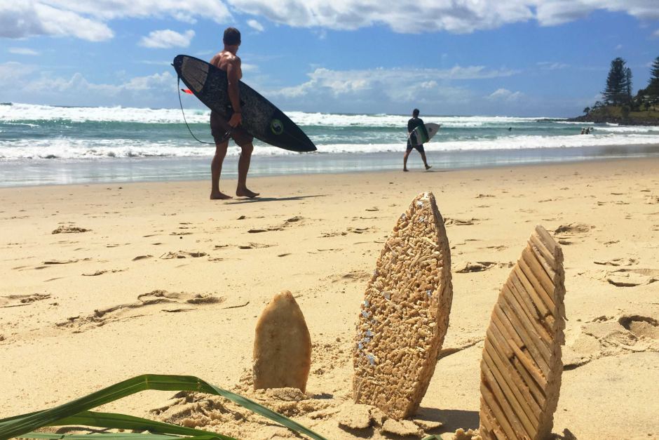 lemongrass surfboards