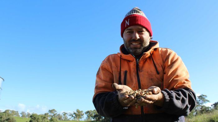 Lachie Seears Nuffield Scholar