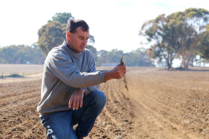 WA farmer