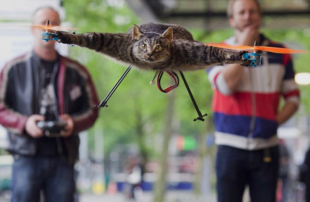 Orvillecopter