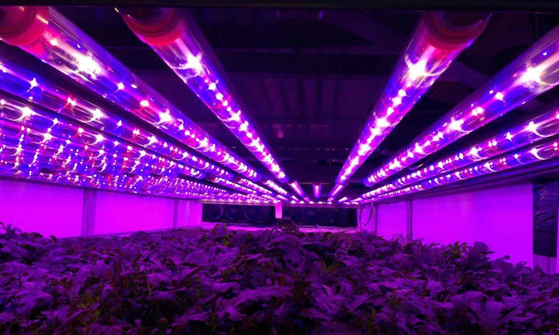 Vertical farming rows