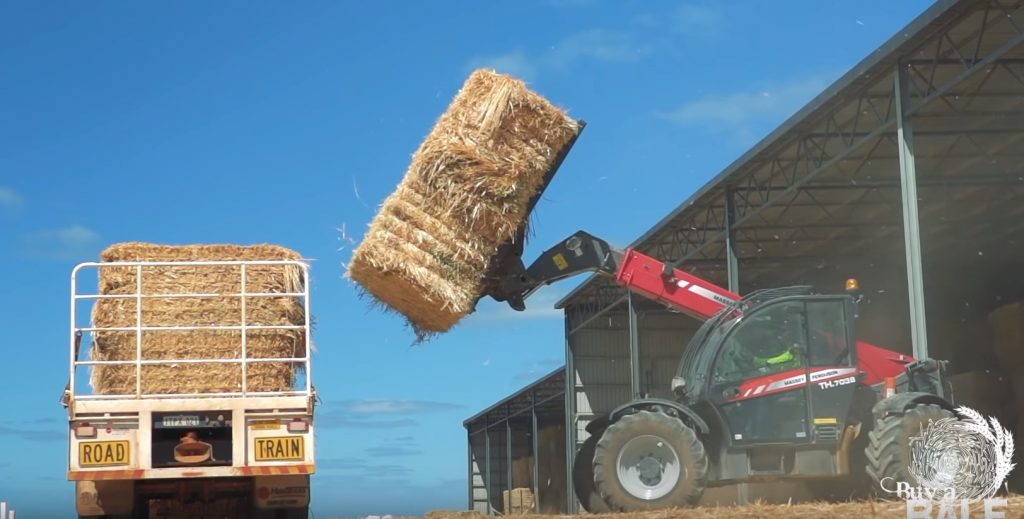 forklift loading hay onto truck - buy a bale